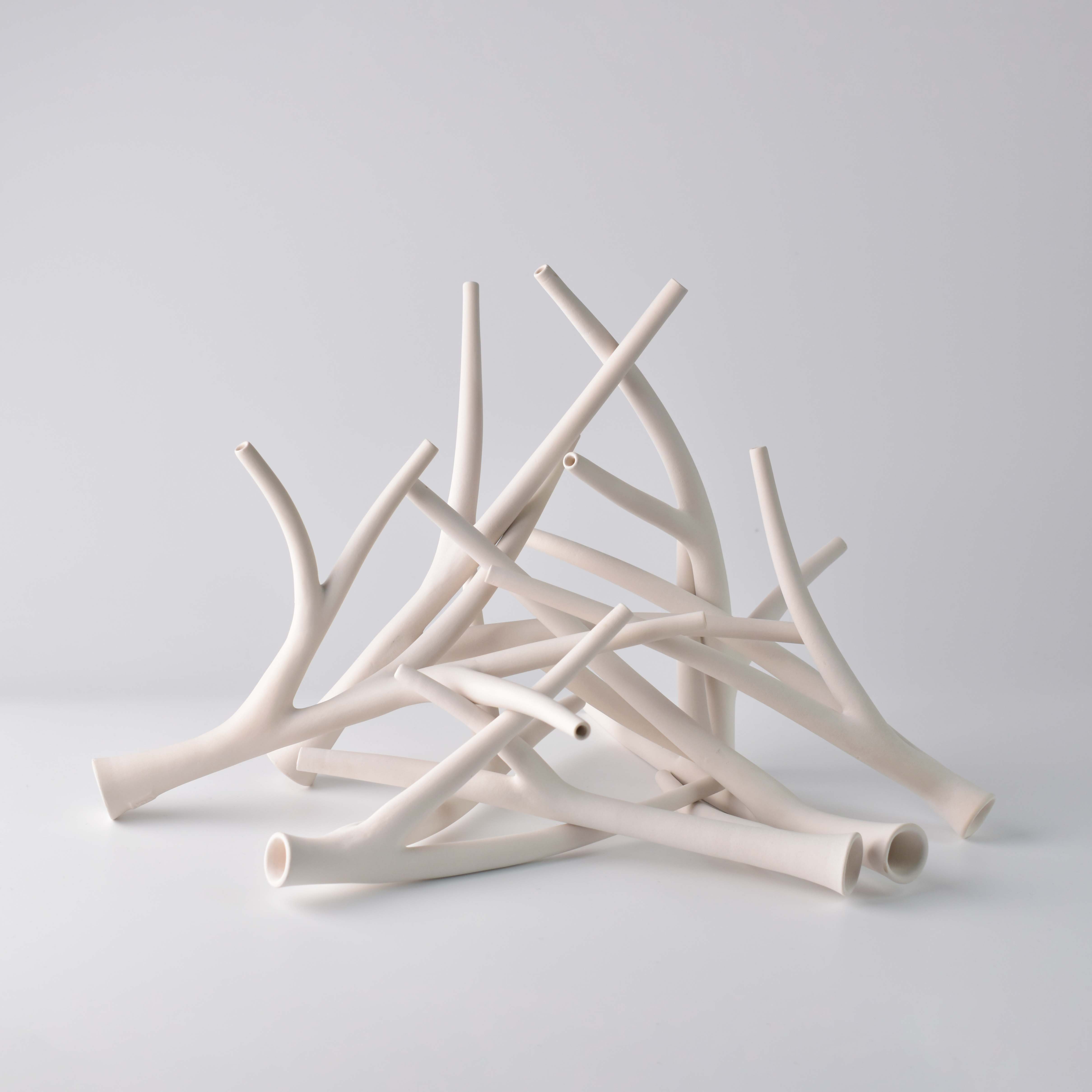 2010s_jackdaw sticks